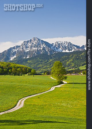
                Feldweg, Bayern, Berchtesgadener Land                   
