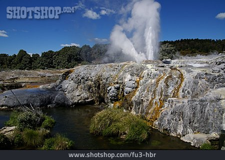 
                Geysir, Fontaine, Rotorua                   