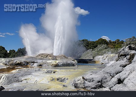 
                Geysir, Fontaine, Rotorua                   
