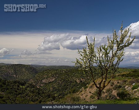 
                Landschaft, Sardinien, Armungia                   