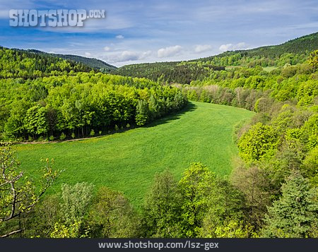 
                Thüringer Wald                   