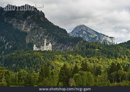 
                Gebirge, Schloss, Neuschwanstein                   