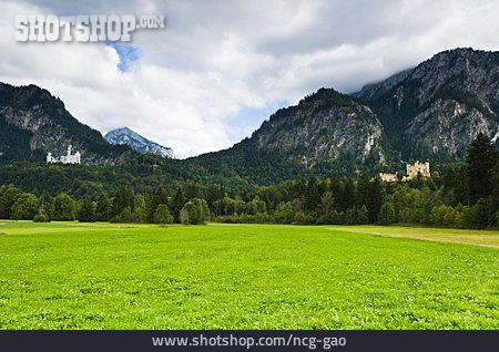 
                Gebirge, Schloss, Neuschwanstein, Hohenschwangau                   
