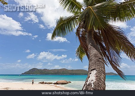 
                Strand, Insel, Seychellen                   