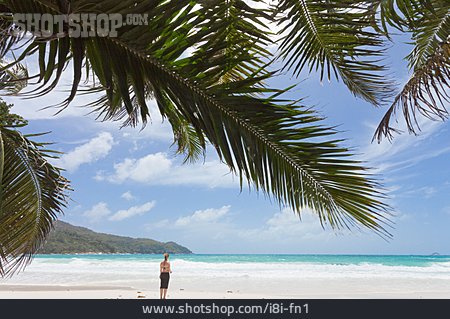 
                Strand, Tropisch, Sandstrand, Seychellen                   