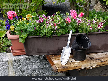 
                Blumen, Gartenarbeit, Balkonkasten, Bepflanzen                   