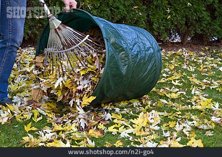
                Herbstlaub, Gartenarbeit, Rechen                   