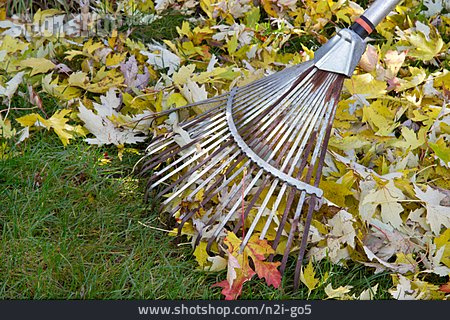 
                Herbstlaub, Gartenarbeit, Rechen                   