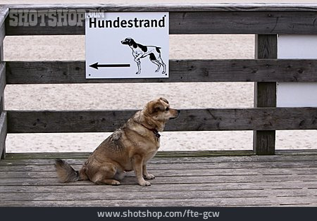 
                Hinweisschild, Hundestrand, Mischlingshund                   