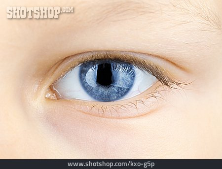 
                Auge, Blaue Augen                   