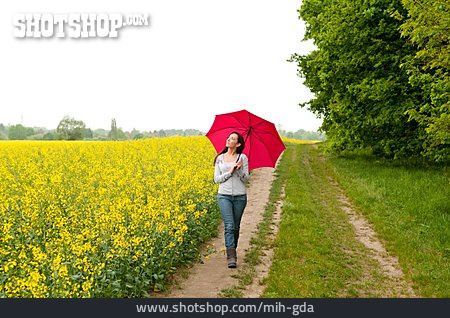 
                Junge Frau, Spaziergang, Regenschirm                   