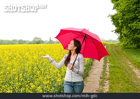 
                Junge Frau, Spaziergang, Regenschirm, Regnerisch                   