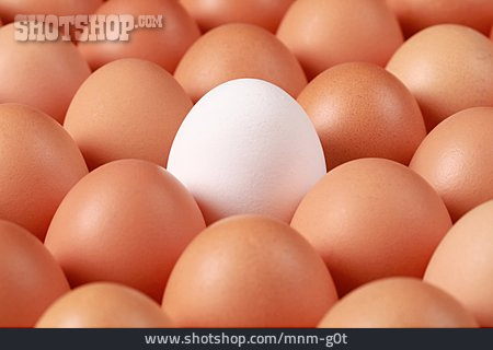 
                Individualität & Einzigartigkeit, Ei, Hühnerei                   