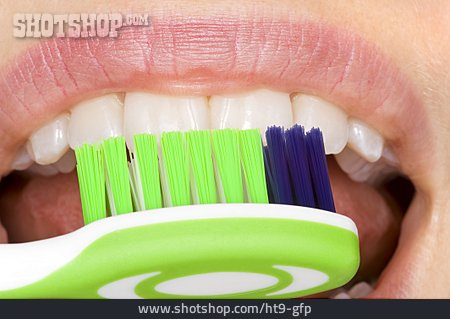 
                Mundhygiene, Zahnreinigung                   
