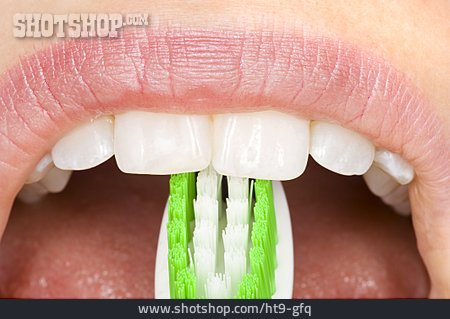 
                Mundhygiene, Zahnreinigung                   