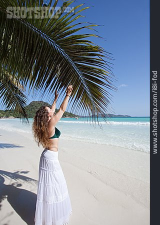 
                Seychellen, Strandurlaub, Palmenwedel                   