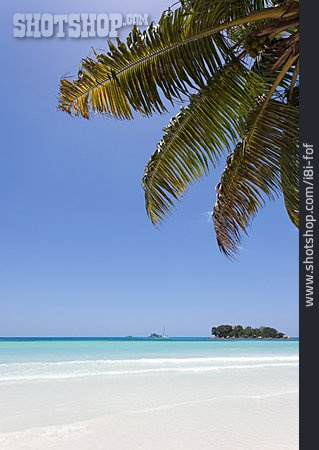 
                Seychellen                   