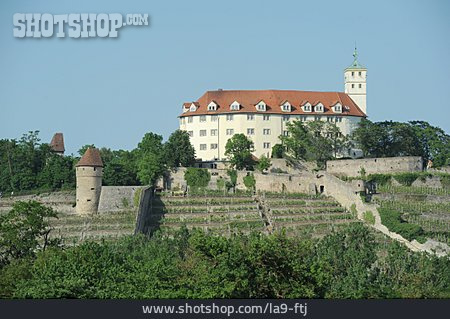 
                Schloss Kaltenstein                   