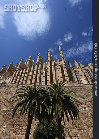 
                Kathedrale, Mallorca, La Seu                   