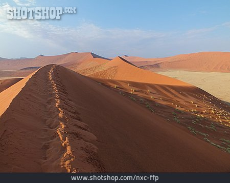 
                Sossusvlei, Namib-wüste, Düne 45                   