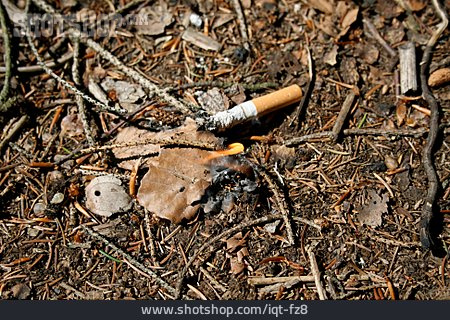 
                Zigarette, Waldbrand, Waldbrandgefahr                   
