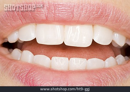 
                Mund, Zähne, Zahnpflege                   