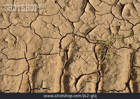 
                Trockenheit, Dürre, Erdboden                   