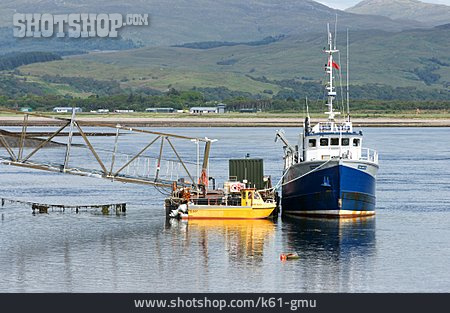 
                Schiff, Fischerboot, Schottland                   