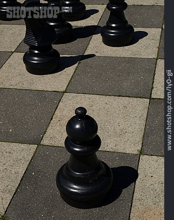 
                Schachbrett, Schachspiel, Schachfigur                   
