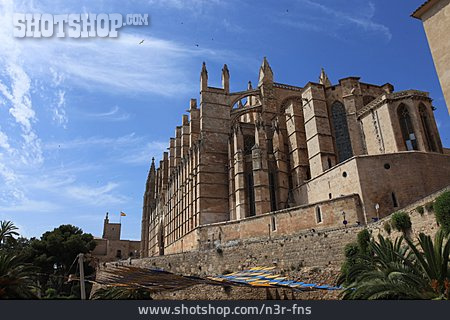 
                Kathedrale, Mallorca, La Seu                   