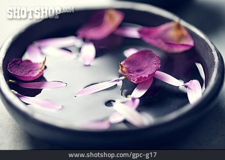 
                Blüte, Dekoration, Rosenwasser                   