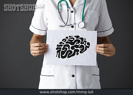 
                Gehirn, Neurologie, Neurologin                   