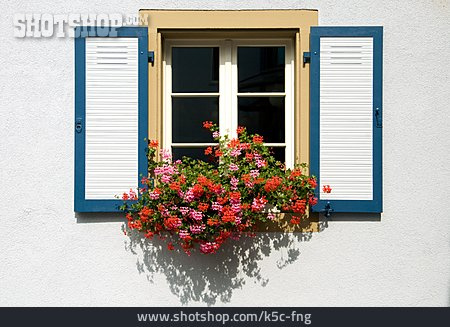 
                Fenster, Sprossenfenster, Fensterladen, Blumenfenster                   