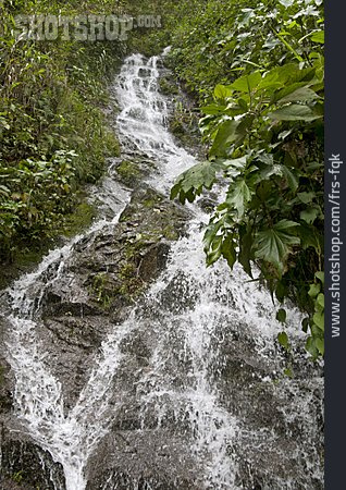 
                Wasserfall, Dschungel, Ecuador                   