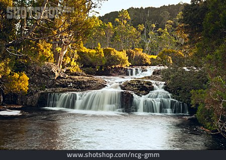 
                Wasserfall, Cradle Mountain National Park                   