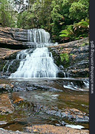 
                Wasserfall, Mount-field-nationalpark, Lady Barron Falls                   