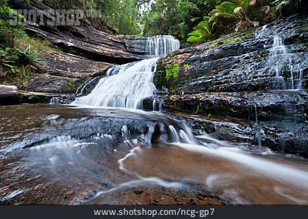 
                Wasserfall, Mount-field-nationalpark, Lady Barron Falls                   