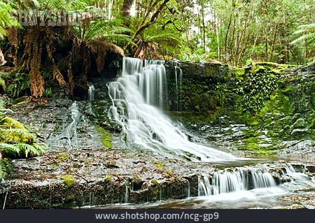 
                Wasserfall, Horseshoe Falls, Mount-field-nationalpark                   