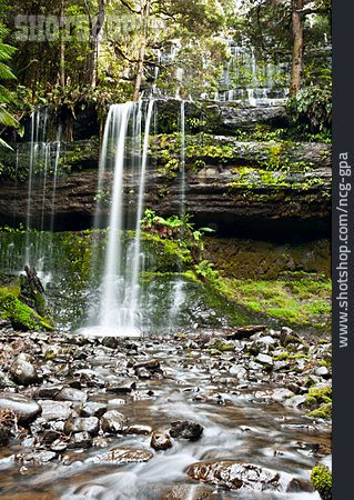 
                Wasserfall, Mount-field-nationalpark, Russell Falls                   
