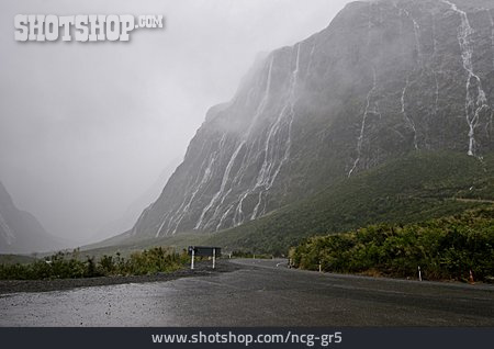 
                Nebel, Neuseeland, Landstraße                   