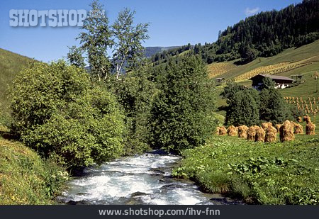 
                Wildbach, Tirol, Heuernte                   