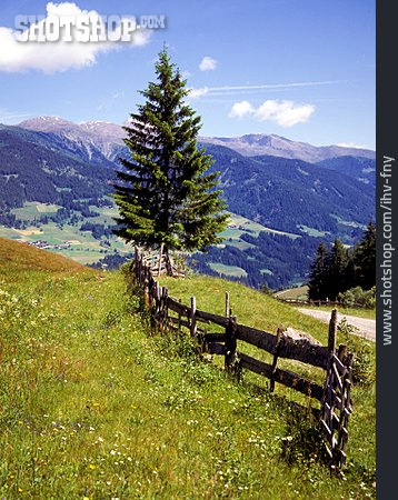
                Tirol, Berglandschaft, Weidezaun                   