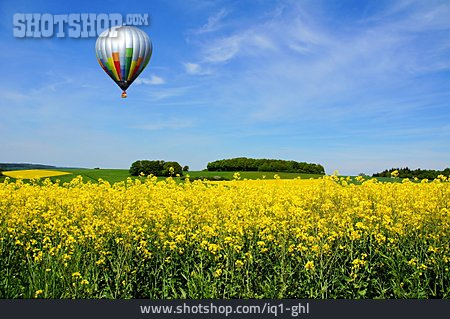 
                Heißluftballon, Rapsfeld                   