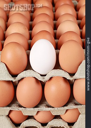 
                Egg, Chicken Egg, Palette                   