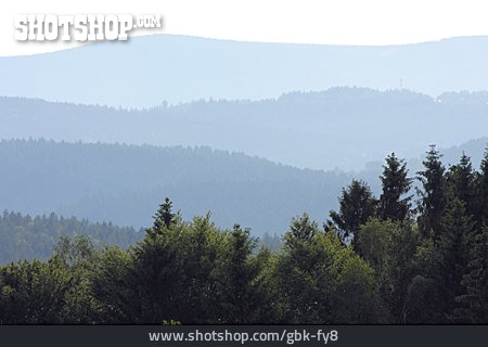 
                Hazy, Bavarian Forest                   