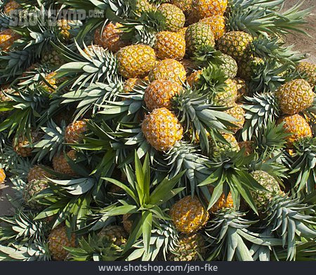 
                Südfrucht, Ananas                   