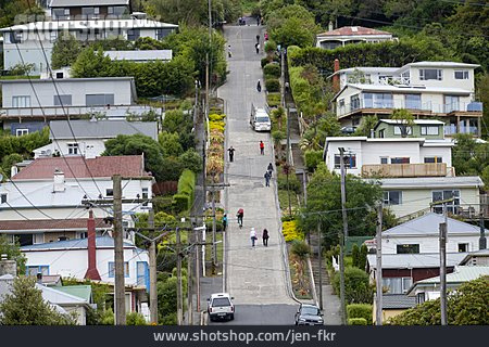 
                Neuseeland, Baldwin Street                   