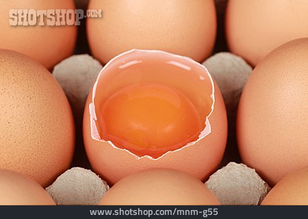 
                Egg, Egg Yolk                   