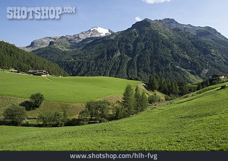
                Südtirol, Alm                   