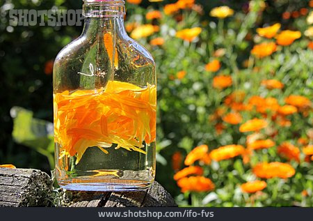 
                Ringelblumenöl, Blütenöl                   